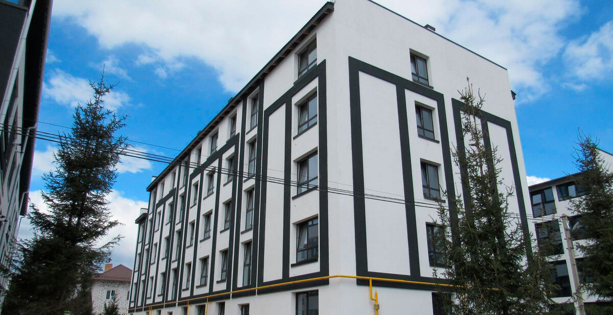 ���� ����� ����