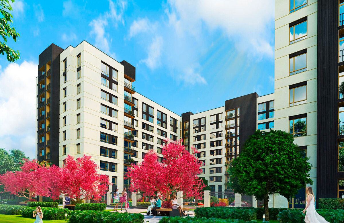 Continent Ray ����