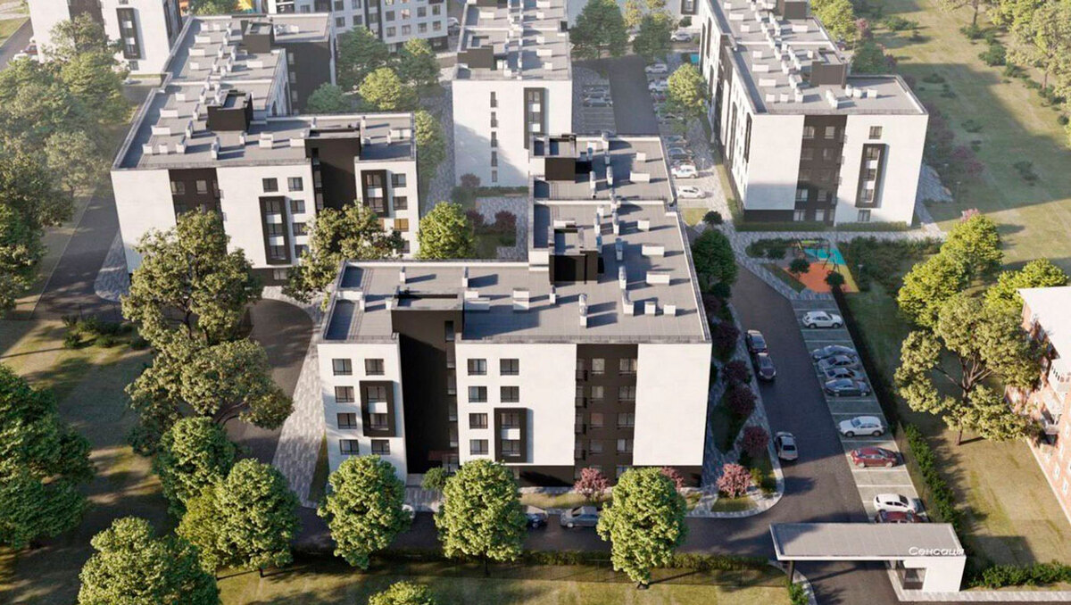 �������� ����