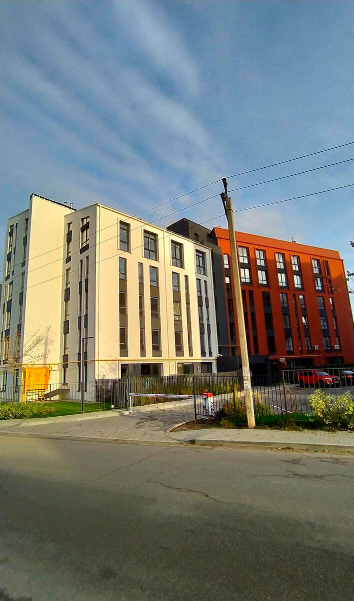 ������ ����