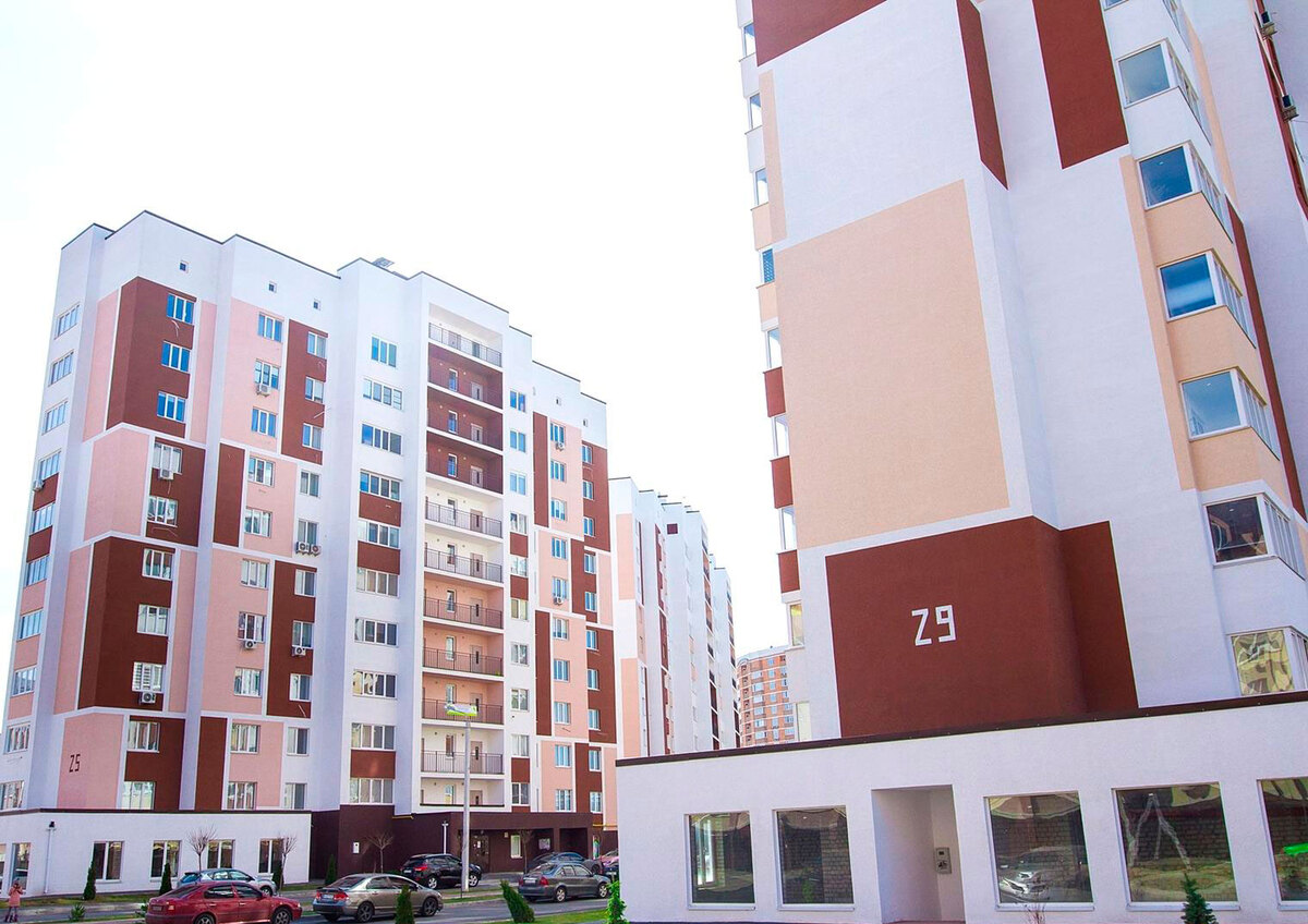 ���� ������ ����