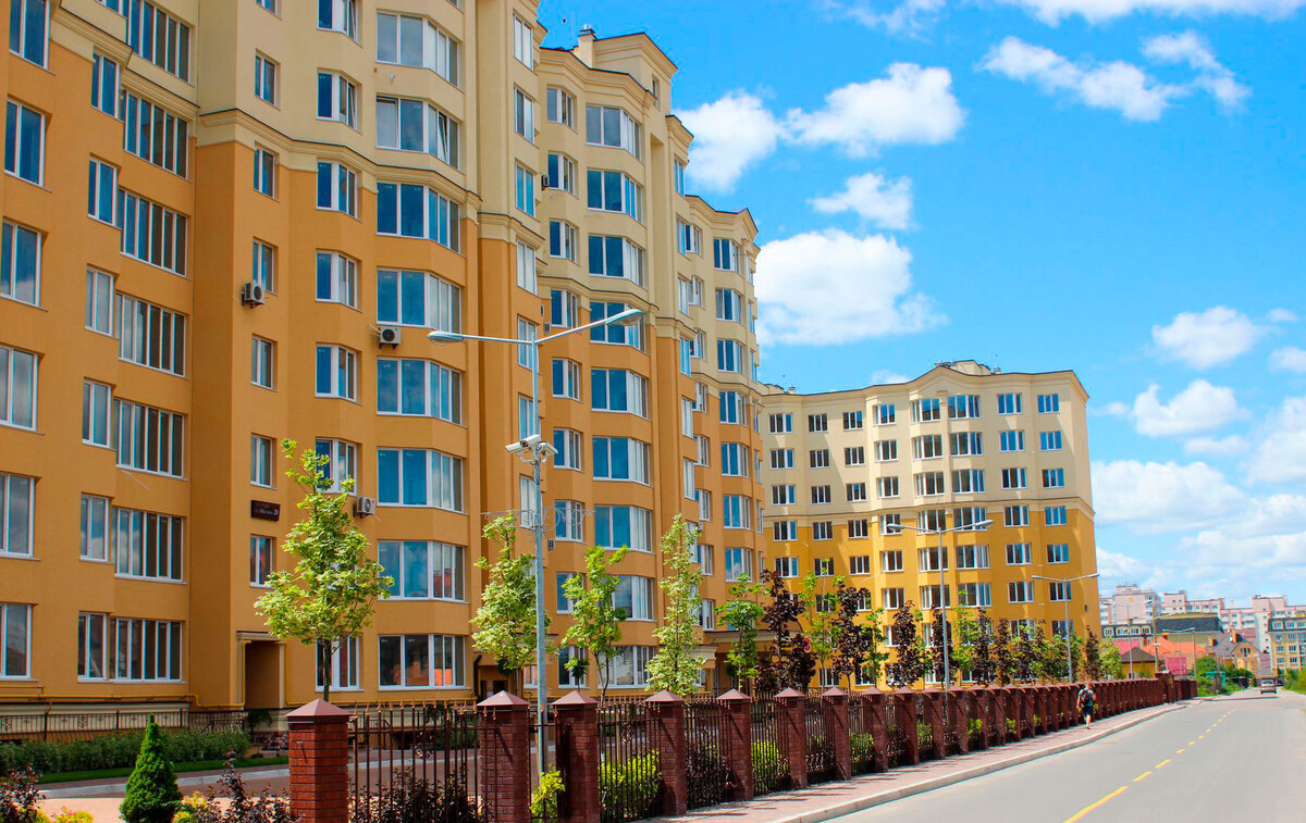 ����� ѳ� ����