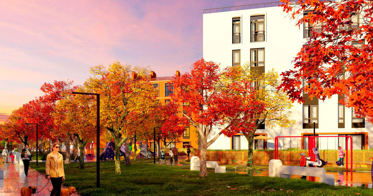 ������ ����