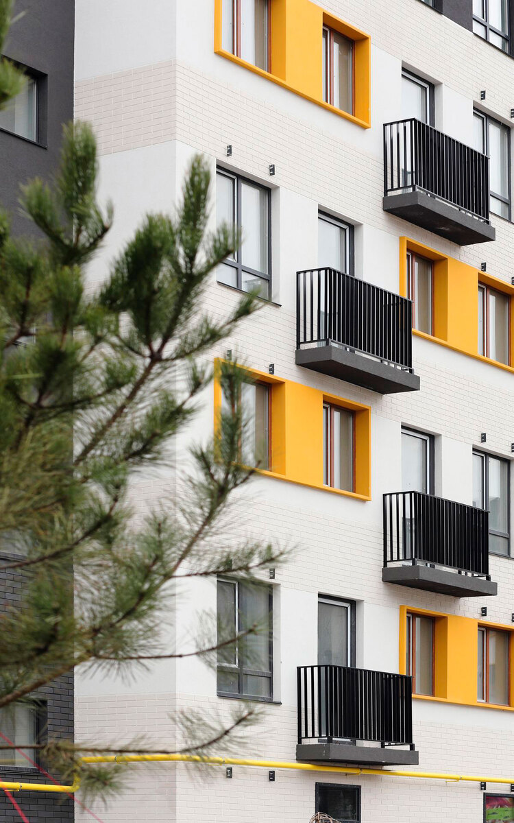 �������� ����