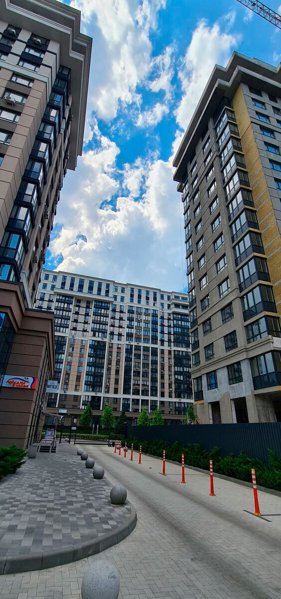 �����������-2 ����