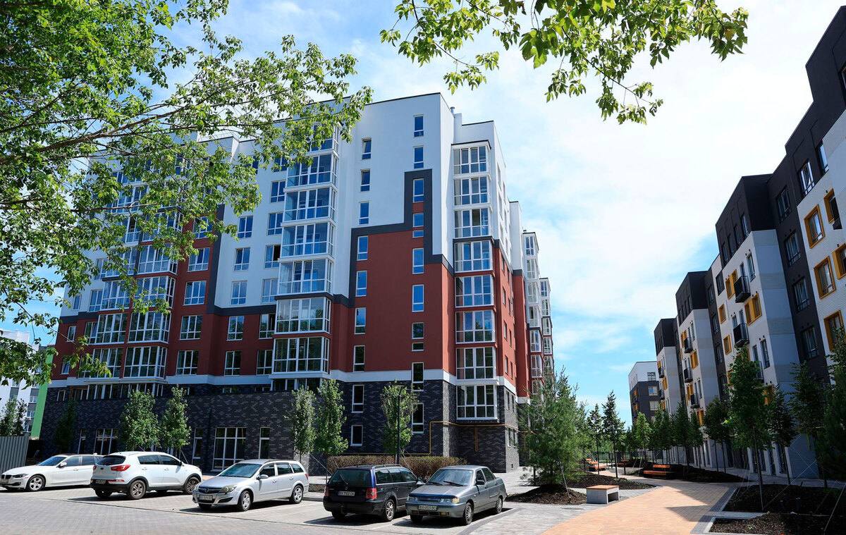 ���� ����