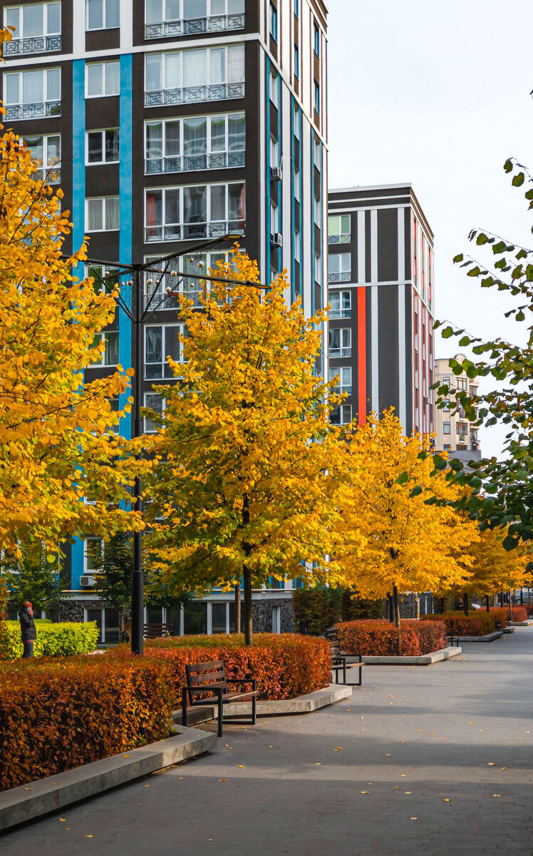 �������-2 ����