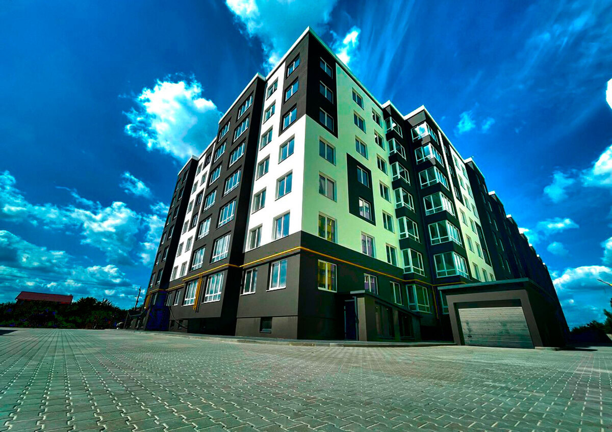 �������� ����� ����