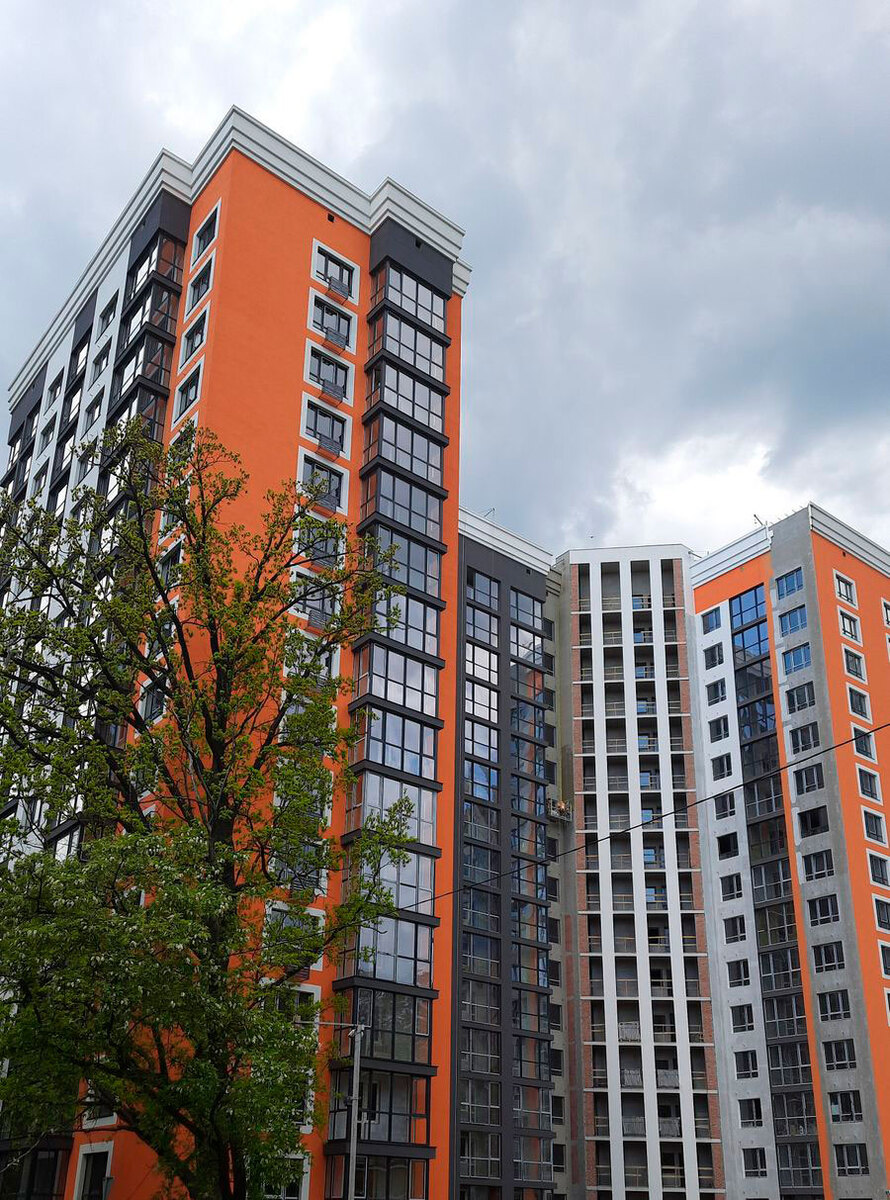 Eco Dream ����