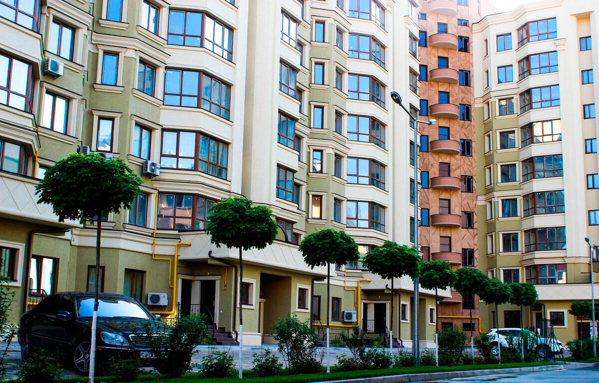 ����� ѳ� ����