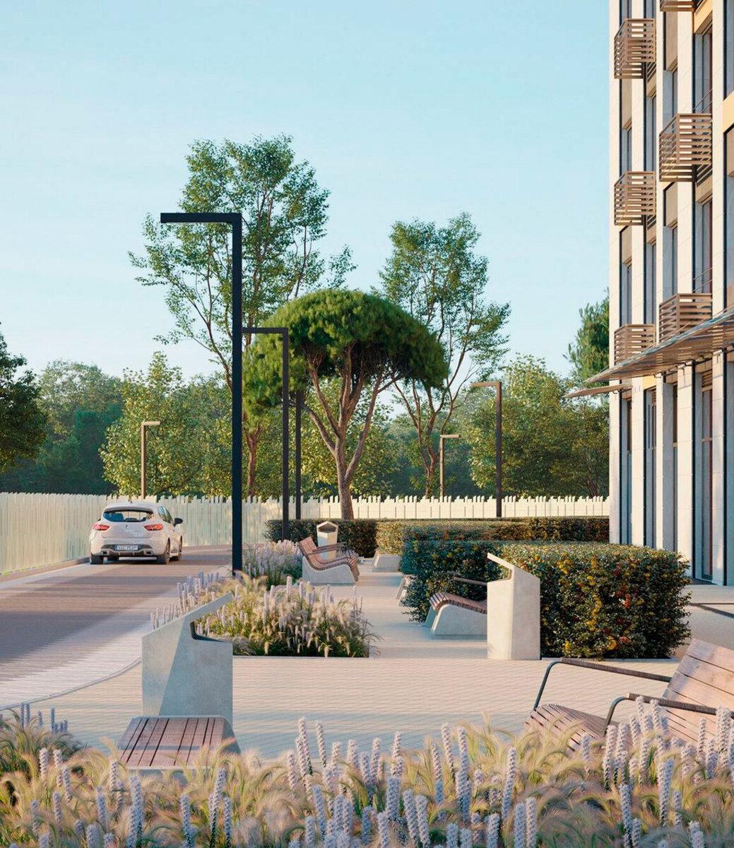 ��������� ����