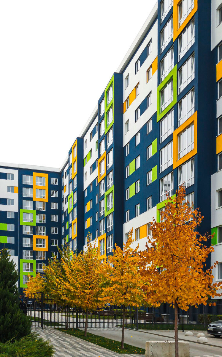 ������ ����