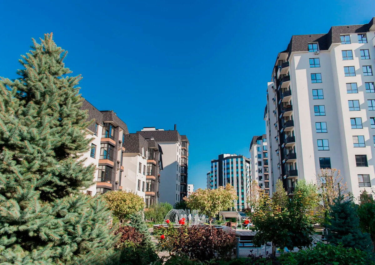 �-������� ����