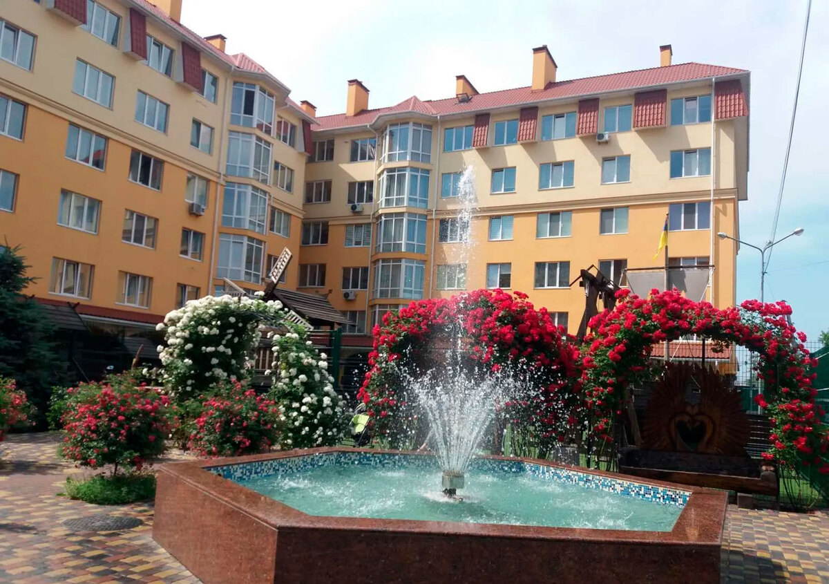 �������� ����� ����