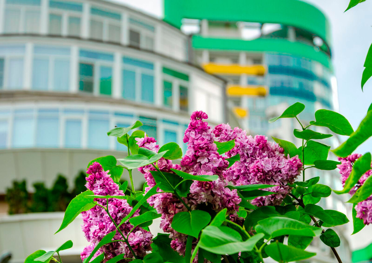 ������� ̳��� ����