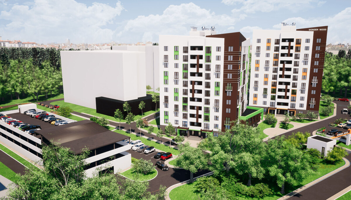 Wonderwood ����