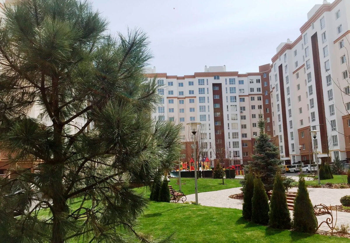 ��������� ����� ����