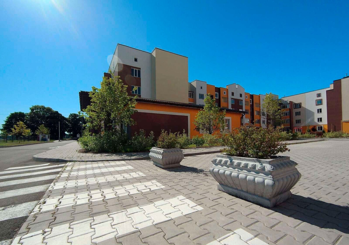 ���� ��� ����