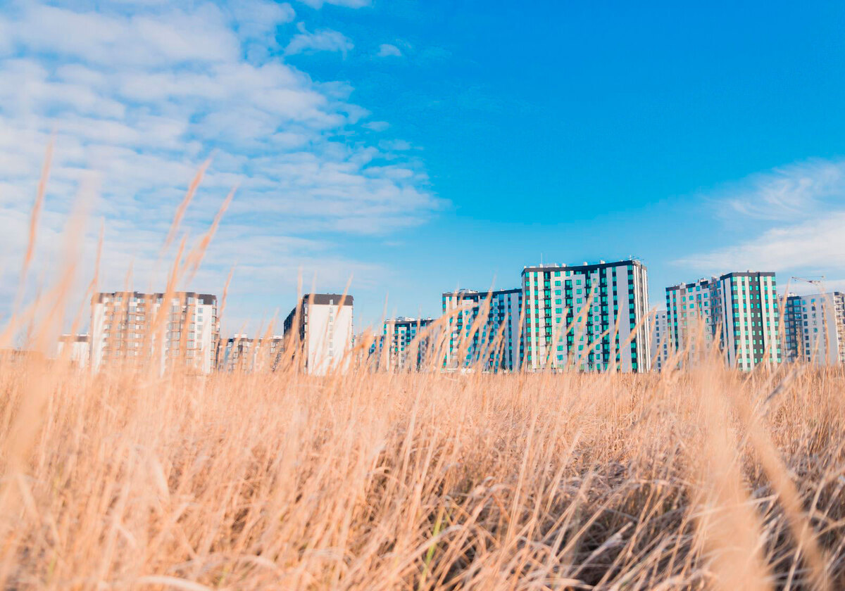 �-������� ����