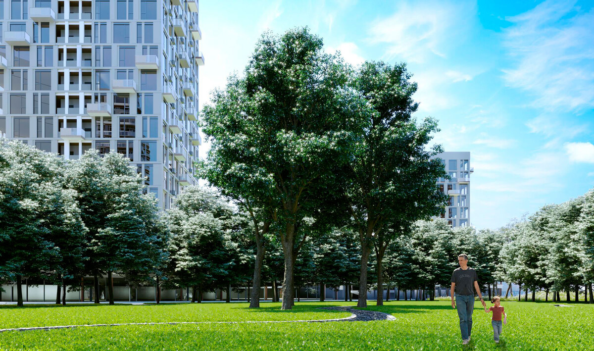 Creator City ����