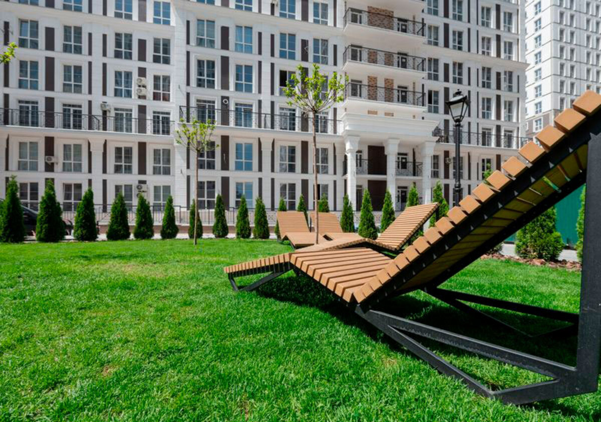 ���� ����� ����