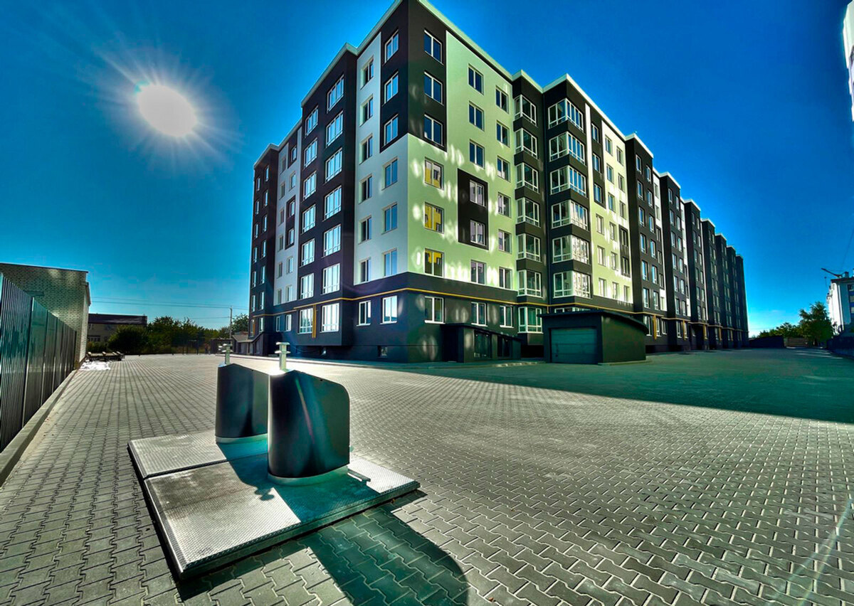 �������� ����� ����