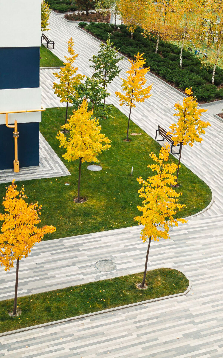 ������ ����