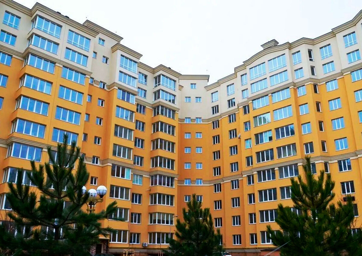 ����� ������� ����