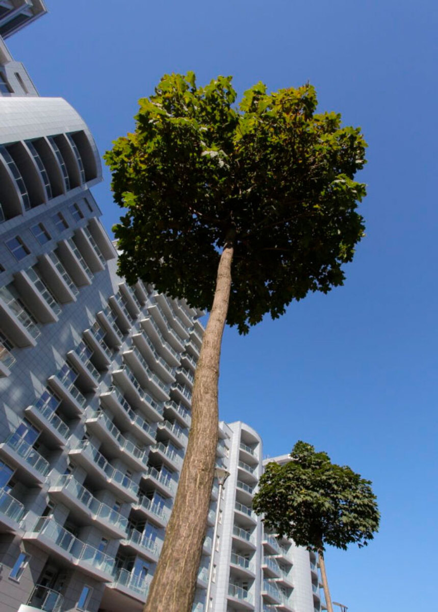 Riviera Riverside ����