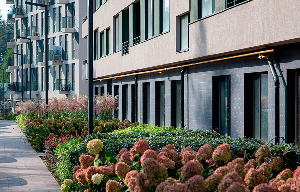 Park Town ����