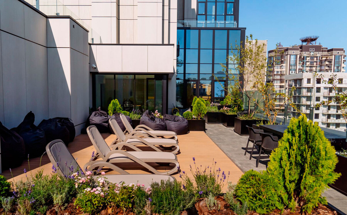 TRIIINITY ����