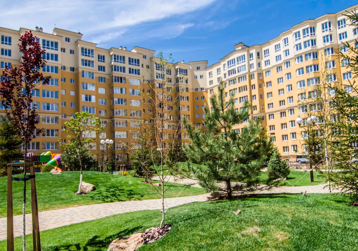 ����� ������� ����