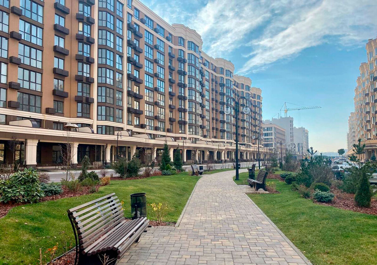 ����� ������� ����