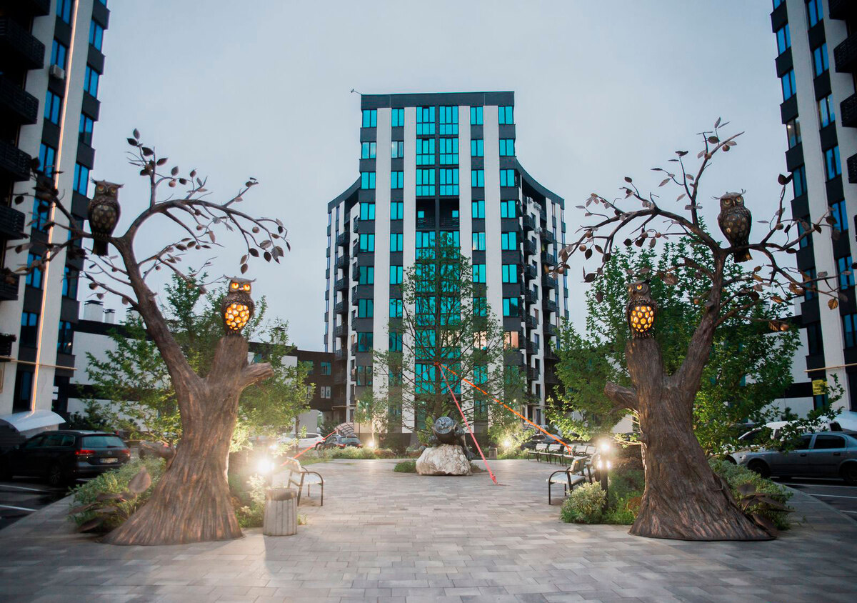 �-������� ����