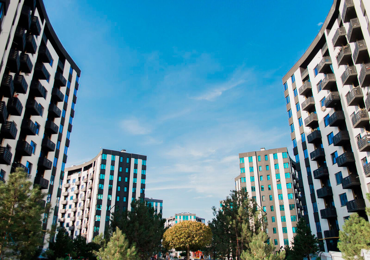 �-������� ����