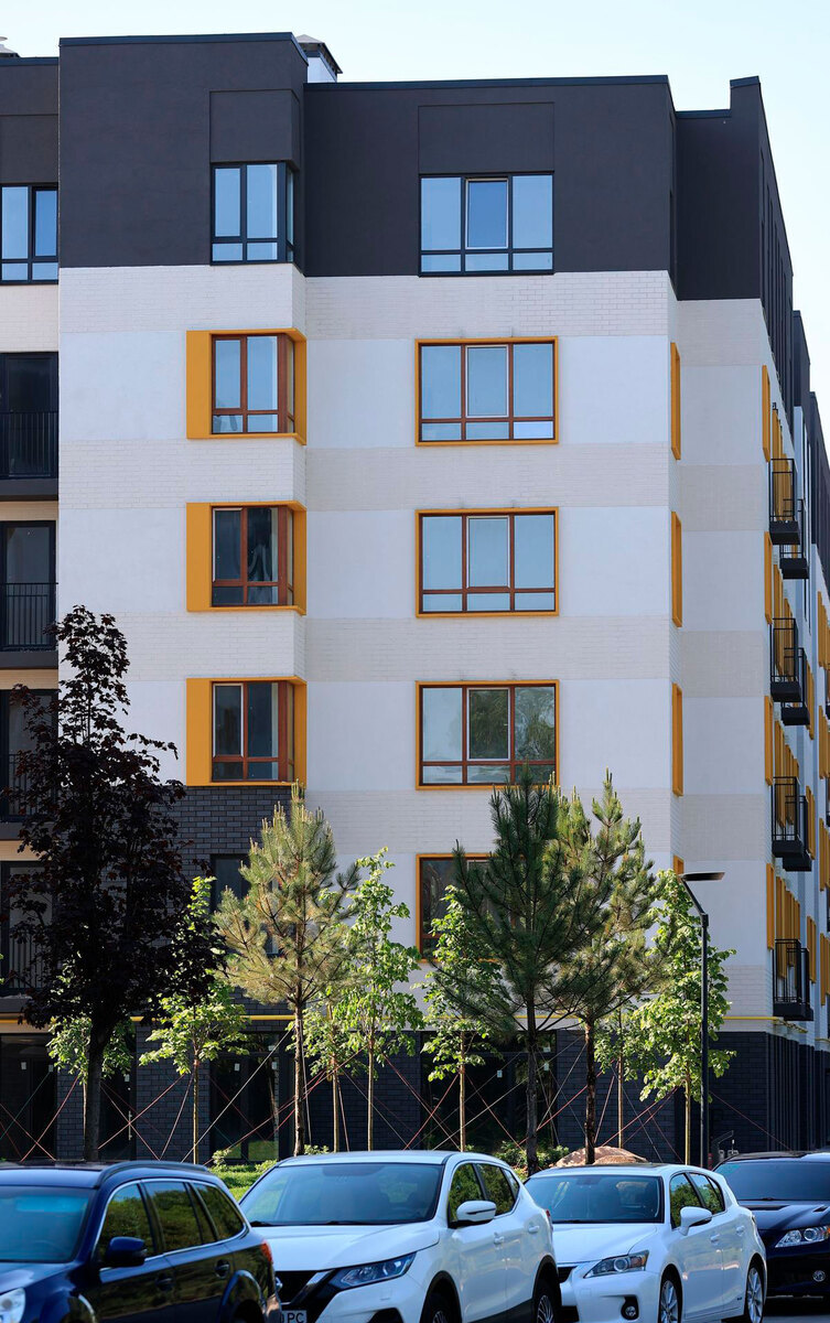 �������� ����