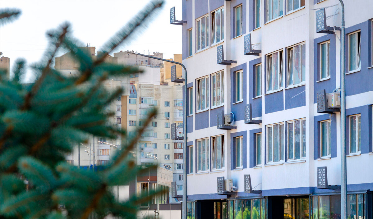 ��������� ����