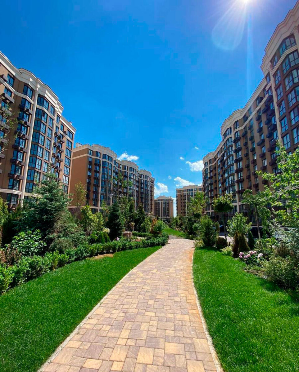 ����� ������� ����