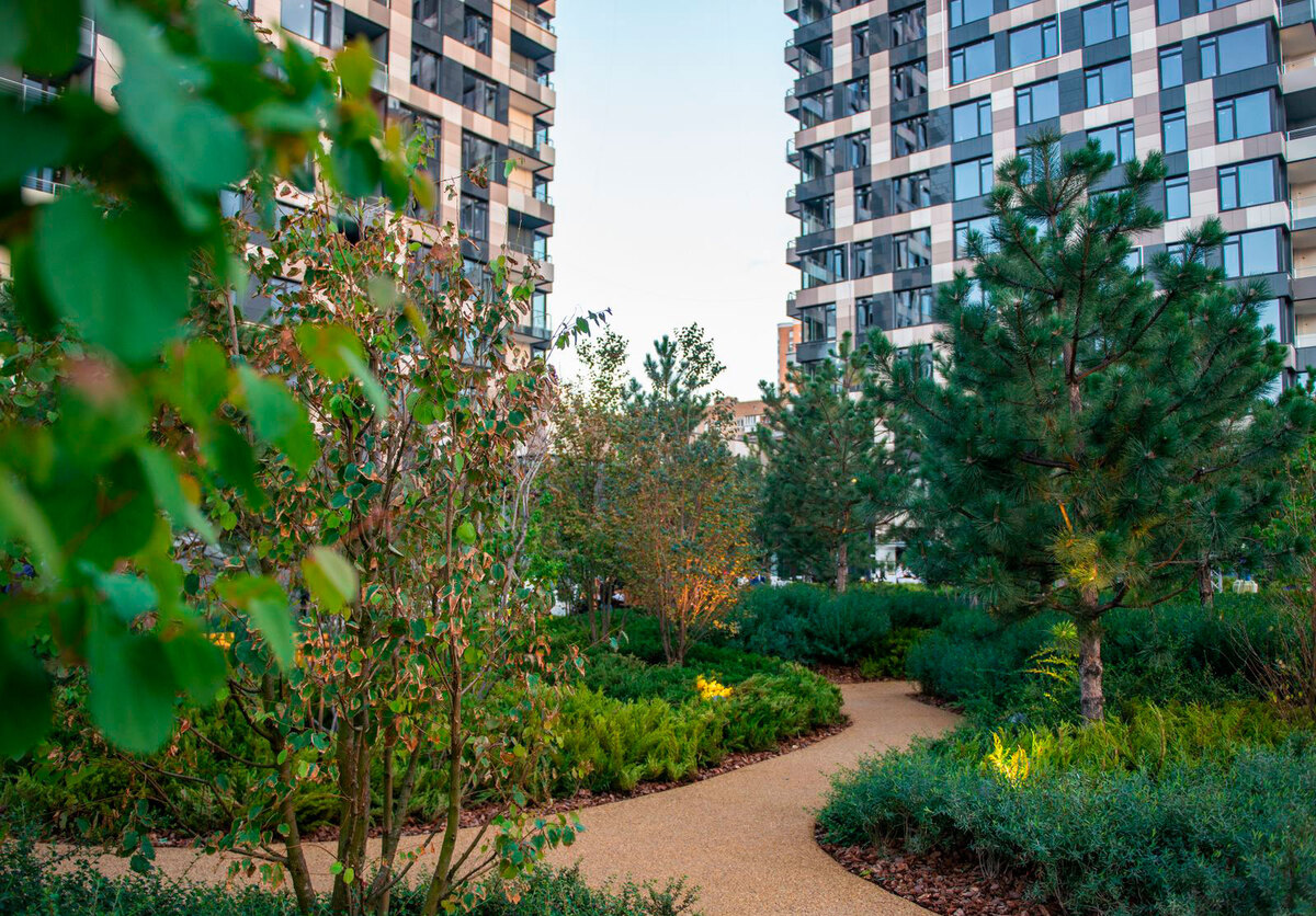 Tetris Hall ����