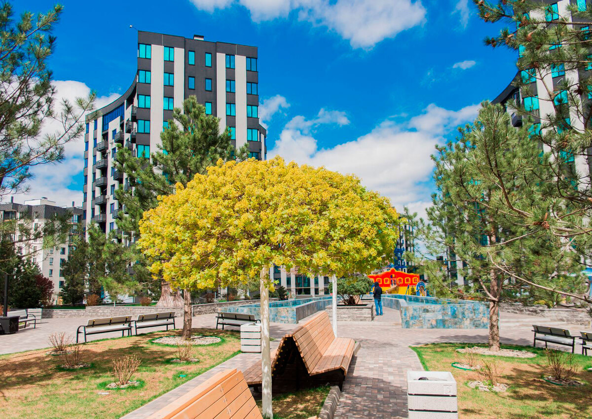 �-������� ����