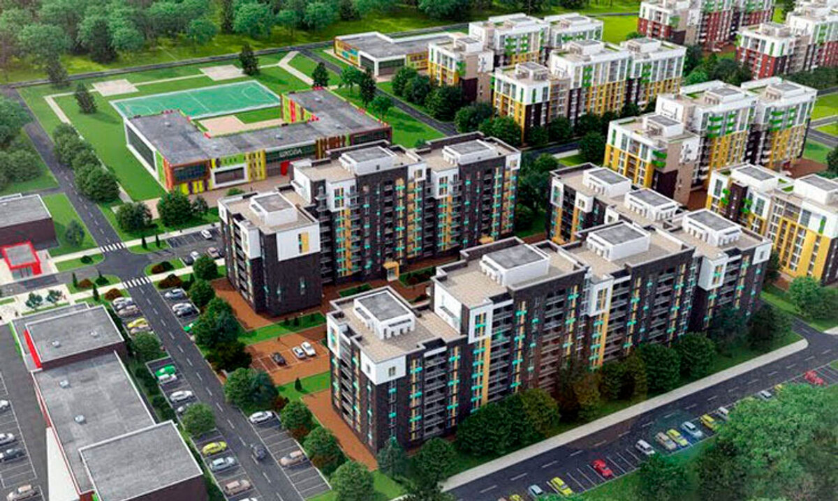 Forest Land ����