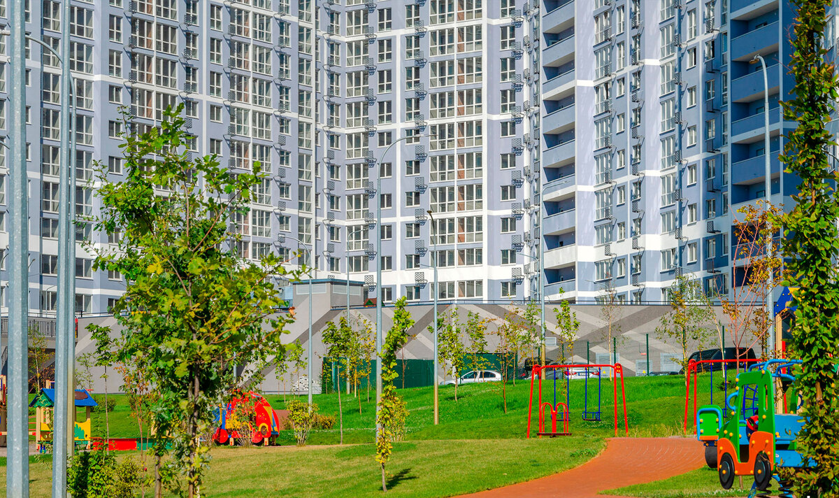 ��������� ����