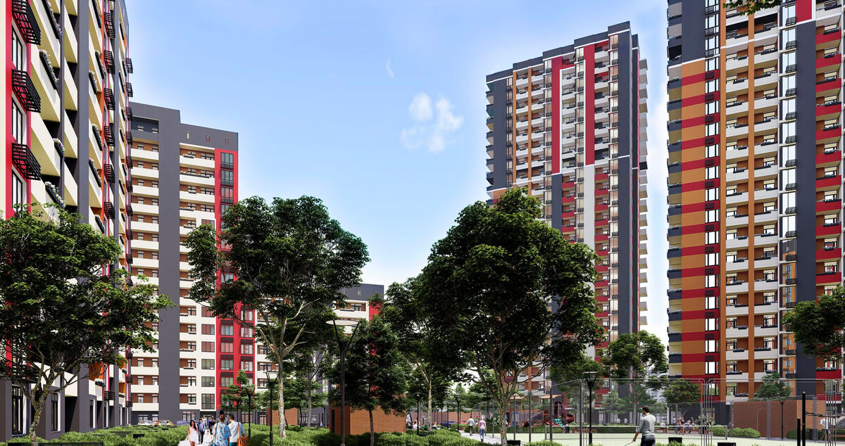 ������ ����