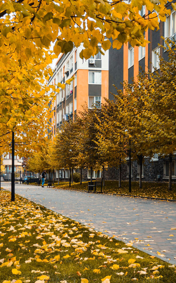 �������-2 ����