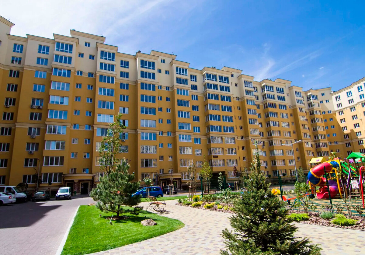 ����� ������� ����