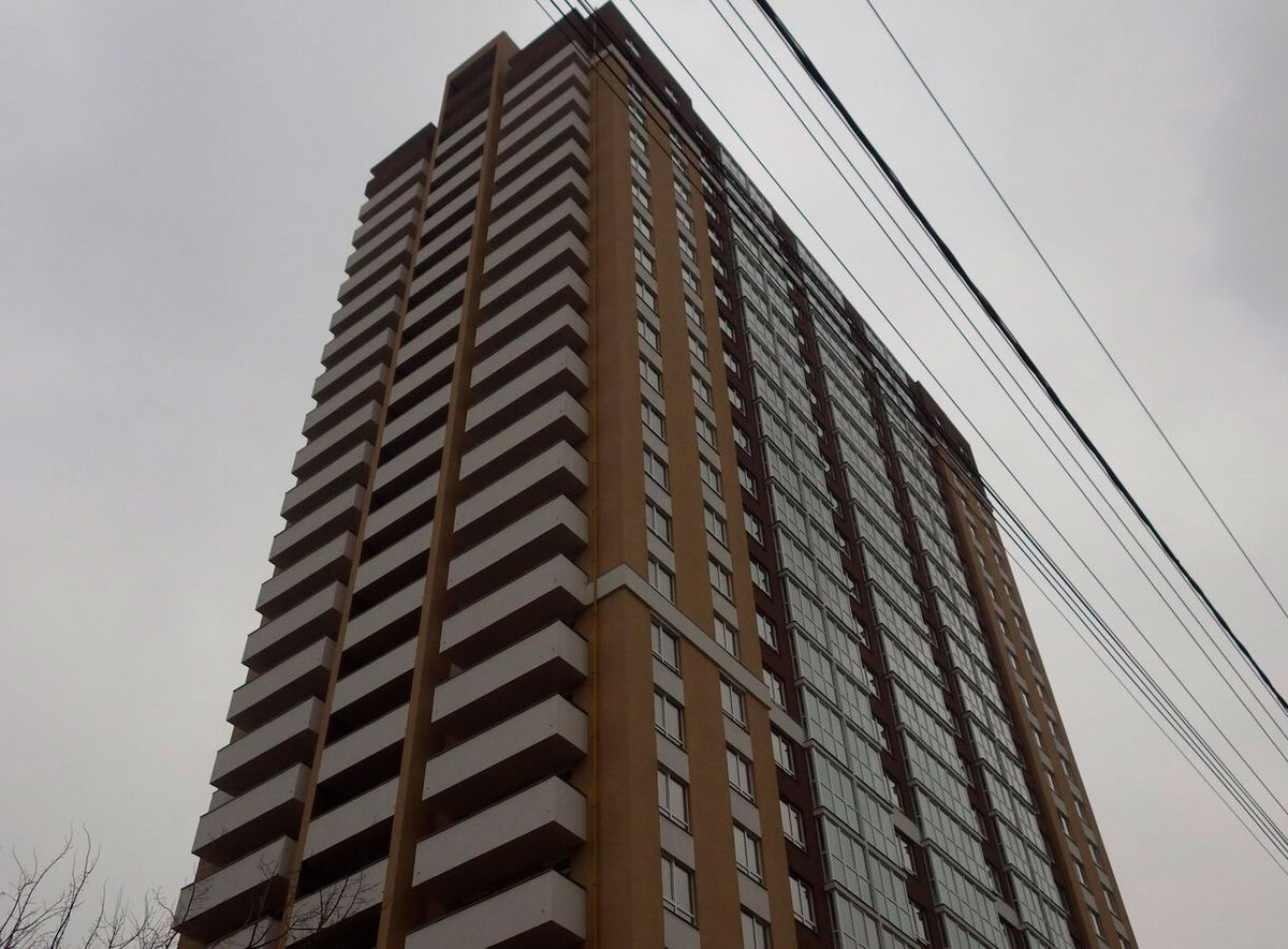 ������������ ����