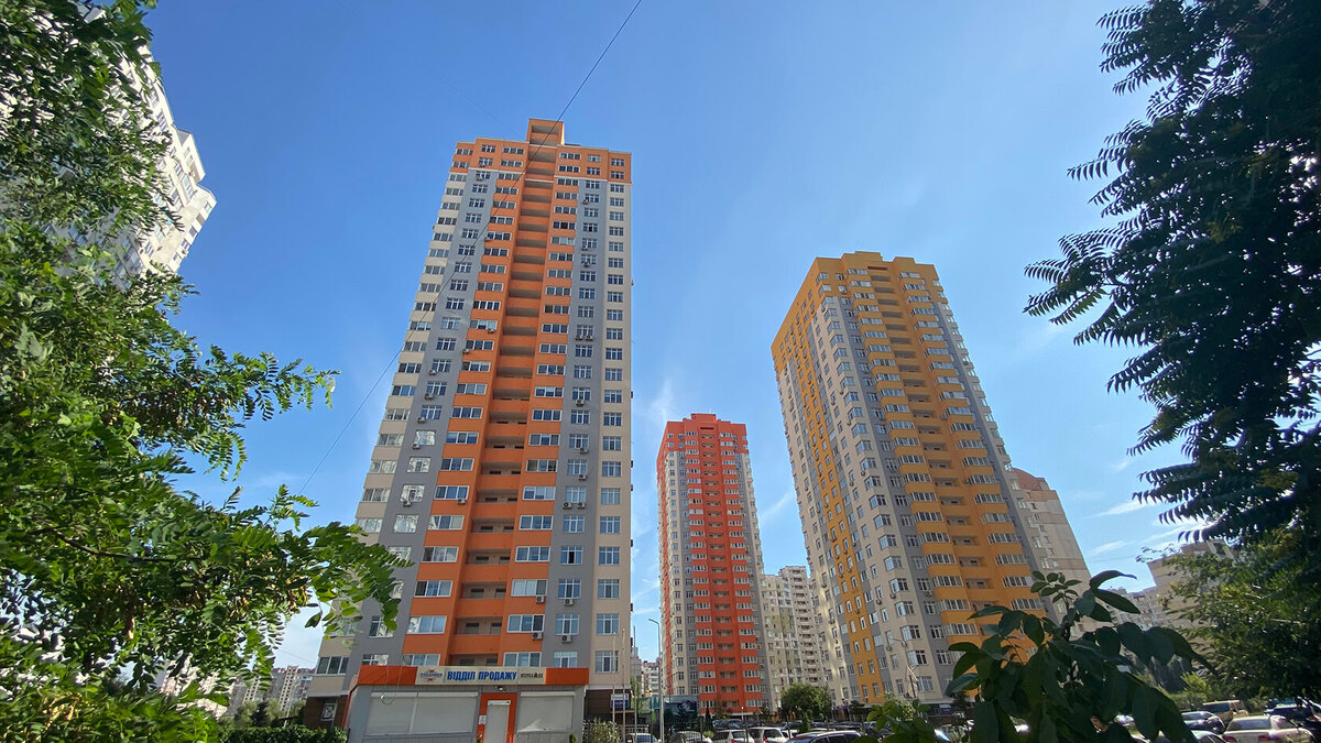 �������� ����