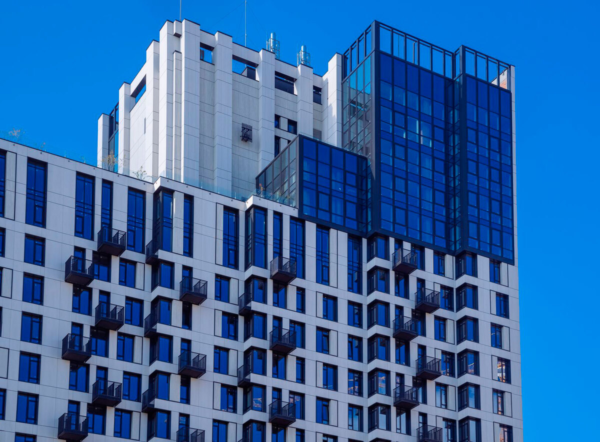 TRIIINITY ����