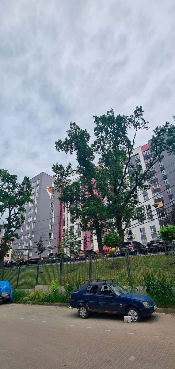 ��� ����� Park ����