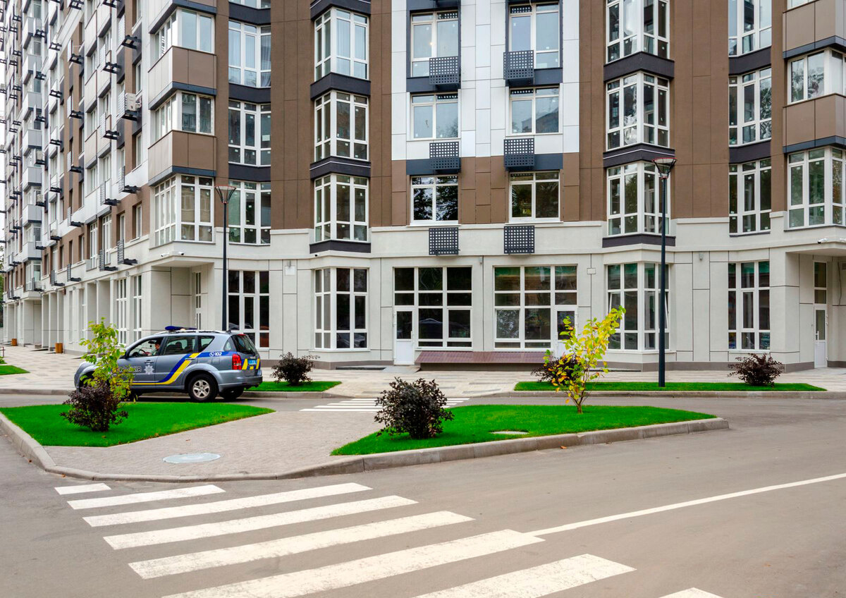 �������� ����